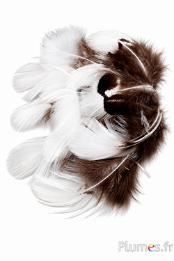 Anatra - 5-10 cm - bianco grigio naturale